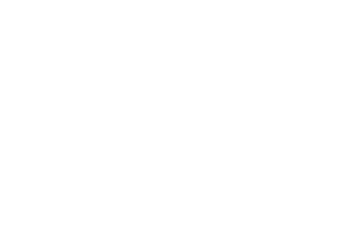 ST Digital